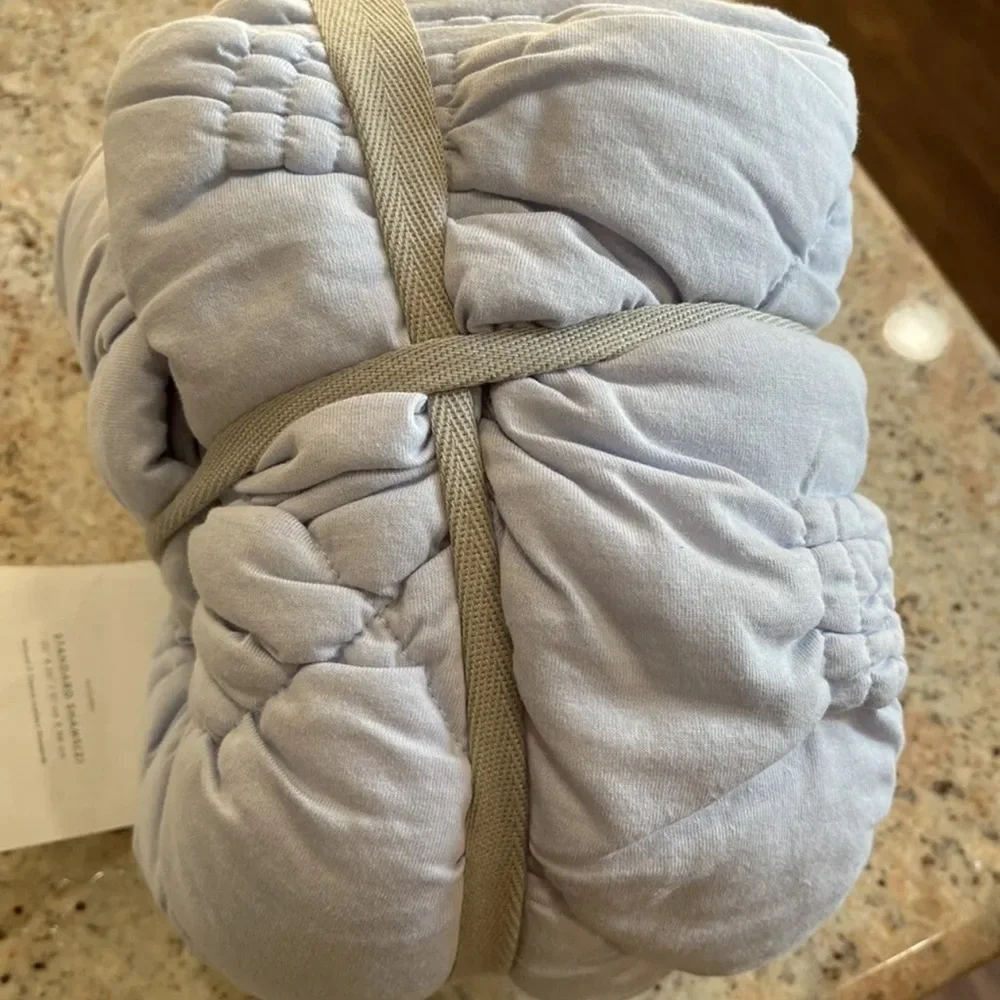 Anthropologie Textured Landry Shams Shams Standard Set Of 2 Cotton Light Blue